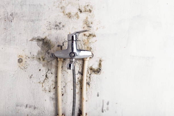 Best Post-Remediation Services in Andover, KS