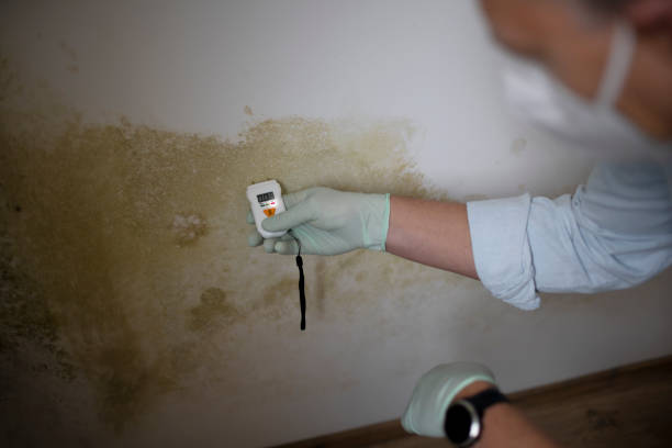 Andover, KS Mold Remediation Company